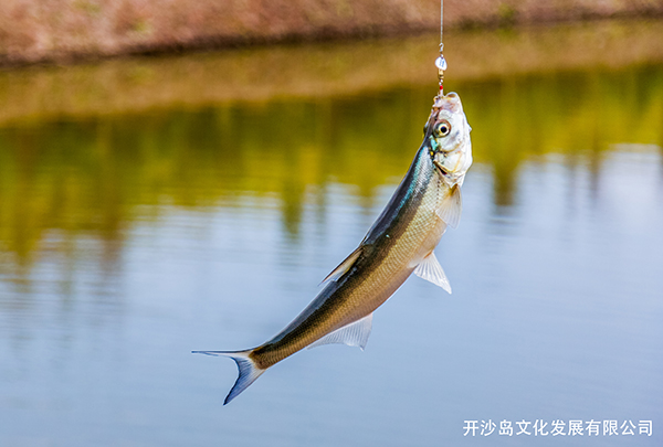 秀島生態(tài)園